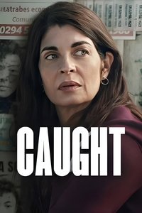 Limited Series Poster