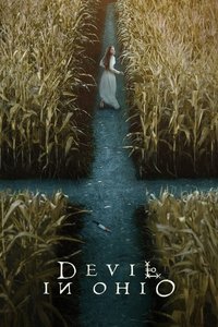 Limited Series Poster
