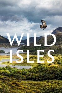 Miniseries Poster