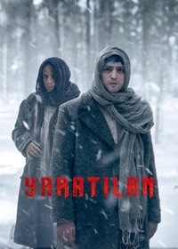 Limited Series Poster