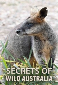 Miniseries Poster