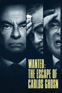 Miniseries Poster