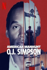 Miniseries Poster