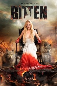 Season 3 Poster