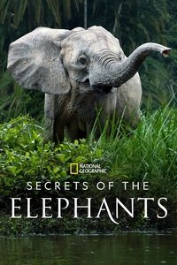 Miniseries Poster