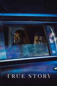 Limited Series Poster