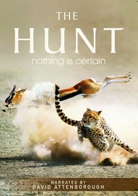 Miniseries Poster