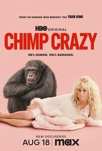 Miniseries Poster