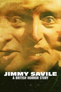 Miniseries Poster