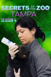 Season 4 Poster