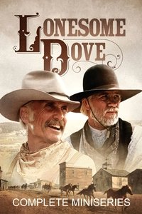 Miniseries Poster