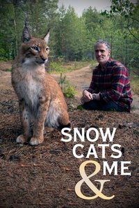 Miniseries Poster