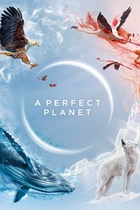 Miniseries Poster