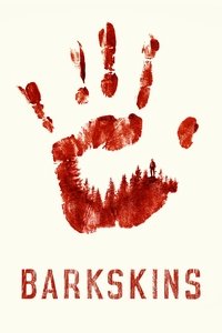 Limited Series Poster