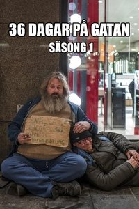 Miniseries Poster