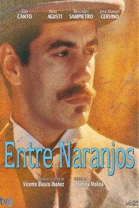 Miniseries Poster