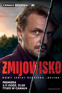 Limited Series Poster