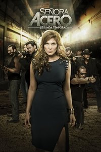 Season 2 Poster