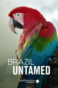 Pantanal Poster