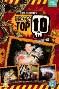 Series One Poster
