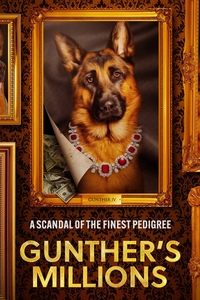 Limited Series Poster
