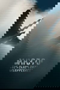 Limited Series Poster