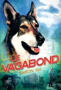 Season 6 Poster