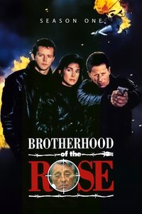 Miniseries Poster