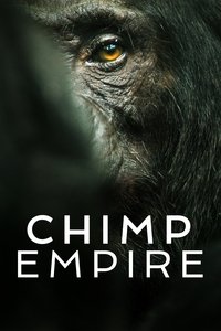 Limited Series Poster