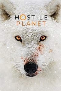 Miniseries Poster