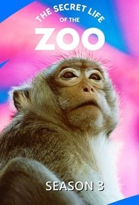 Season 3 Poster