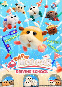 Driving School Poster