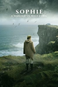 Limited Series Poster
