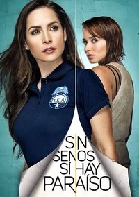 Season 2 Poster