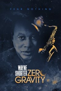 Miniseries Poster