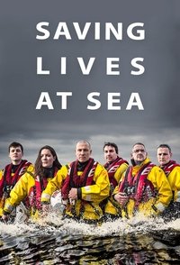 Series 2 Poster