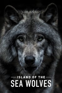 Miniseries Poster