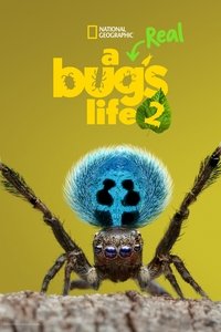Season 2 Poster
