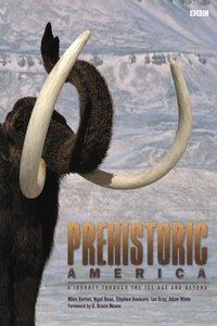 Miniseries Poster