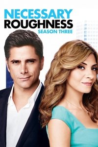 Season 3 Poster