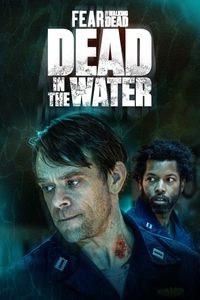 Miniseries Poster