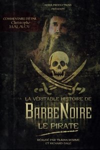 Miniseries Poster
