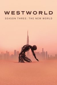 Season Three: The New World Poster