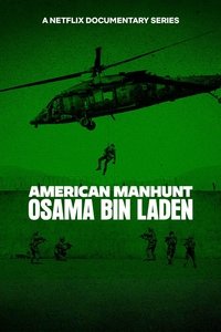 Miniseries Poster