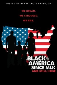 Miniseries Poster