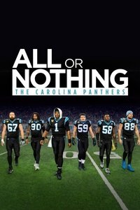 Carolina Panthers Poster