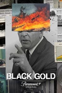 Miniseries Poster