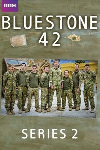 Series 2 Poster