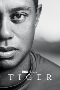 Miniseries Poster