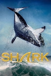 Miniseries Poster